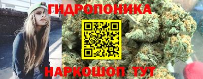 гидра Донецк