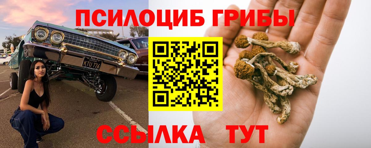 купить наркоту  Вход с VPN  Зеленогорск  Псилоцибиновые грибы прущие грибы 